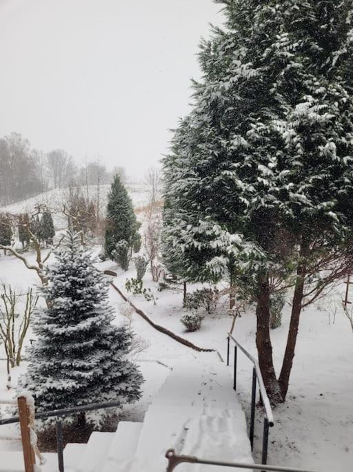 Roubenka U Kaplicky Liberec